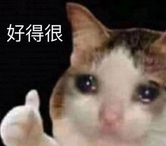 ​陈思诚佟丽娅什么时候离的婚，陈思诚和佟丽娅为什么要在520宣布离婚消息，有