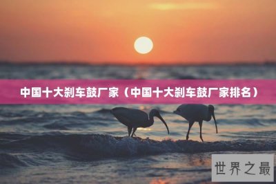 ​中国十大刹车鼓厂家（中国十大刹车鼓厂家排名）