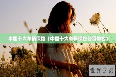 ​中国十大车辆保险（中国十大车辆保险公司排名）