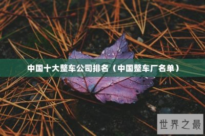 ​中国十大整车公司排名（中国整车厂名单）