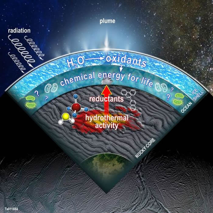 土卫二上的冰下海洋可能含有多种化学物质 或可孕育微生物群落