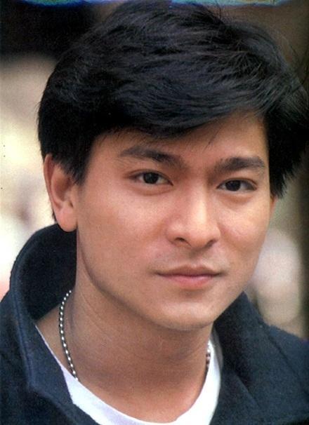 刘德华最后一场演唱会安排（刘德华时隔8年再来内地开巡回演唱会）(6)