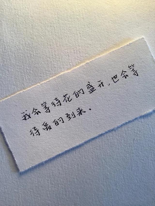 该怎样挽留一个人（如果你真的很想挽留他）(3)