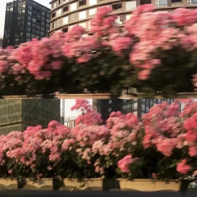 旋律好听的歌推荐（好听大众歌单必听60首）(9)