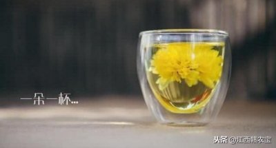 ​一朵一杯，一花一饮，你不知道的婺源皇菊！