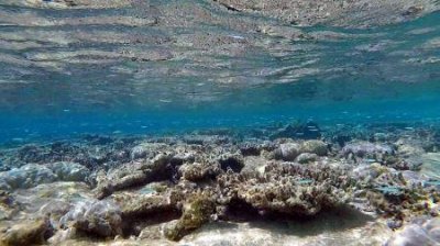 ​白山到延吉自驾地图路线？更佳推荐最短最快线路