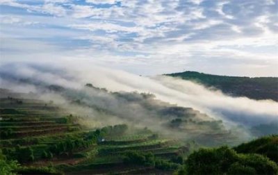 ​宁夏特色旅游景点怎么画从视觉角度解读魅力