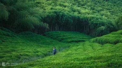 ​剑桥旅游攻略分享：我亲身体验哪家好2