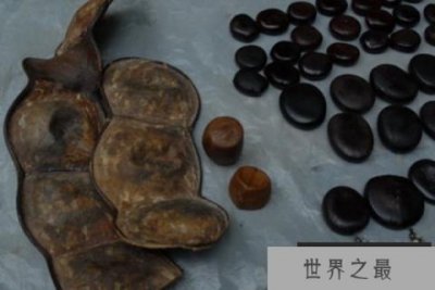 ​世界上最大的豆子，最长可达90多厘米