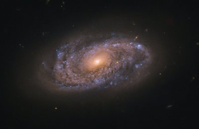 ​1.45亿光年外大型螺旋星系NGC 2906中散布着大量“婴儿”恒星