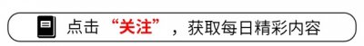 ​刘诗诗与陈都灵的吻戏：网友热议的焦点，究竟有无亲密一幕呢？