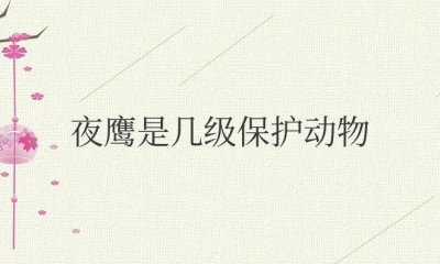 ​夜鹰是几级保护动物