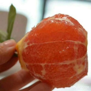 ​昼夜红葡萄酒，昼夜红葡萄酒黑标价价格