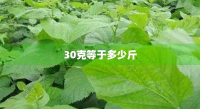 ​30克等于多少斤(3千克等于多少斤)