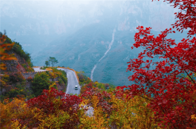 ​【行走河南·读懂中国】焦作：云台山红叶漫山野 秋景惹人醉