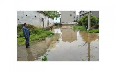 ​监护人如何确定，监护人的监护职责有什么样的