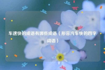 ​车速快的成语有哪些成语（形容汽车快的四字词语）