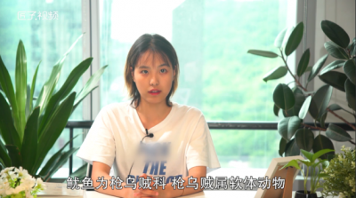 ​八抓鱼和鱿鱼有区别么