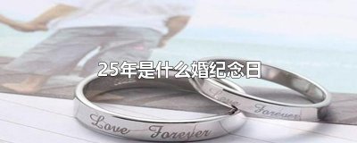​25年是什么婚纪念日