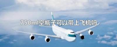 ​750ml空瓶子可以带上飞机吗