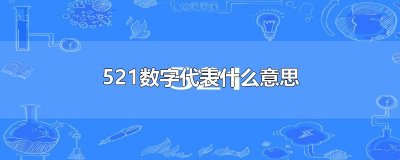 ​521数字代表什么意思