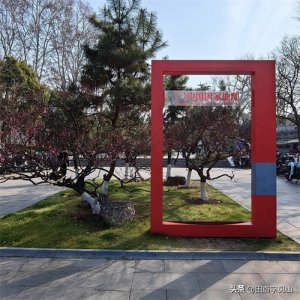 ​南京梅花山游记