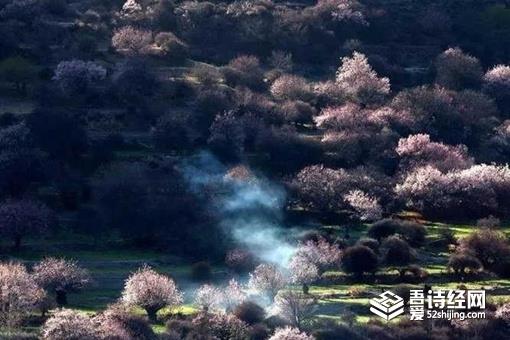 桃花源记中的桃花源是什么地方