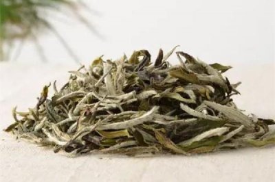 ​老白茶一次放多少克合适 老白茶第一泡要倒掉吗