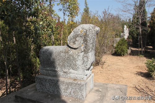 武则天乾陵陪葬墓—懿德太子墓(墓道石刻鉴赏)