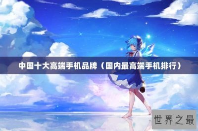 ​中国十大高端手机品牌（国内最高端手机排行）