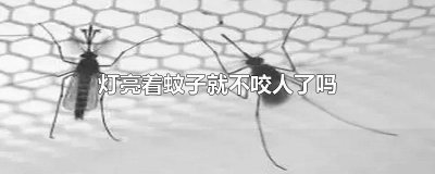 ​灯亮着蚊子就不咬人了吗