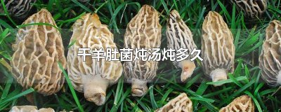 ​干羊肚菌炖汤炖多久