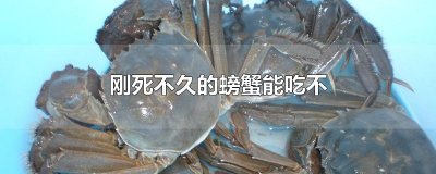 ​刚死不久的螃蟹能吃不