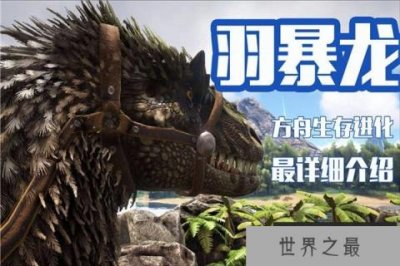 ​羽暴龙：一种长有羽毛的大型恐龙(暴龙的近亲)