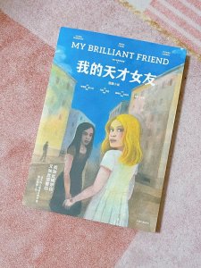 ​我的天才女友小说（我的天才女友小说那不勒斯四部曲）