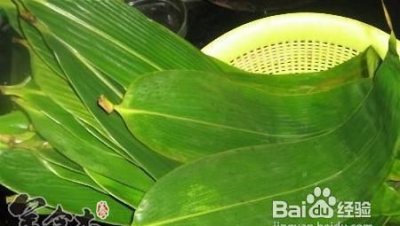 ​粽子叶要煮多久才可以,煮粽叶要几分钟