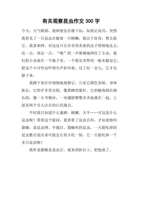 昆虫迷作文300字（昆虫迷作文300字怎么写）