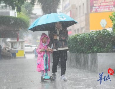 ​“雨纷纷”又双叒来了！广州多区发布风雨预警
