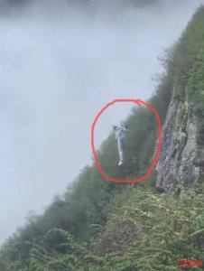 ​网传峨眉山一男子跳崖被挂树枝上，警方：人救上来了，已通知家属