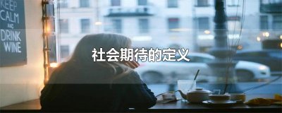 ​社会期待的定义