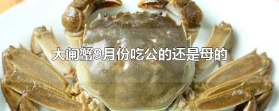 ​大闸蟹9月份吃公的还是母的