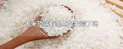 ​大米顶端有黑点是发霉了吗
