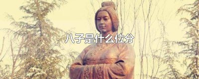 ​芈八子的八子是什么意思 宫里八子是什么意思