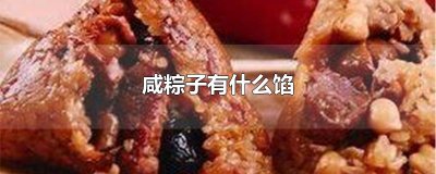 ​咸粽子有什么馅