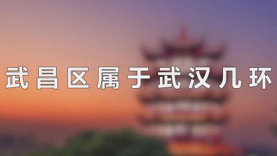 ​武昌区属于武汉几环