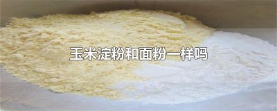 ​玉米淀粉和面粉一样吗