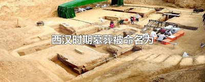 ​西汉时期墓葬被命名为