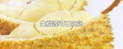 ​生榴莲可以吃吗