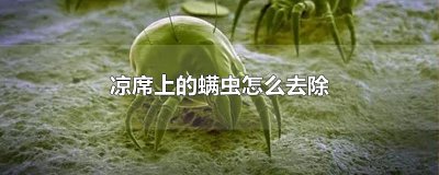 ​凉席上的螨虫怎么去除