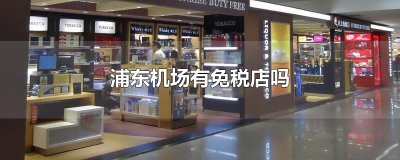 ​浦东机场有免税店吗